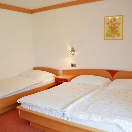 Guest house Hribernig 3*